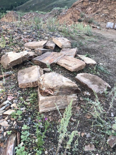 Плитняк кора дерева 50-100мм для пошаговых дорожек купить в Карабаше